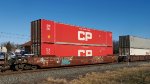 CP 527213